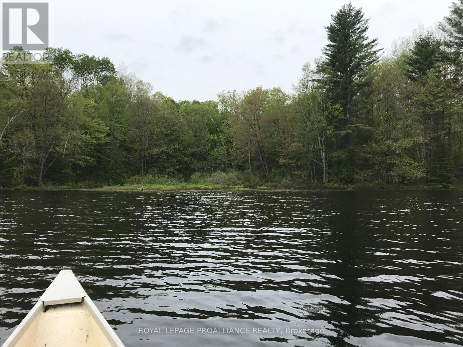 1180 Marshall Lane, North Frontenac (Frontenac North), Ontario  K0H 1K0 - Photo 10 - X12951094
