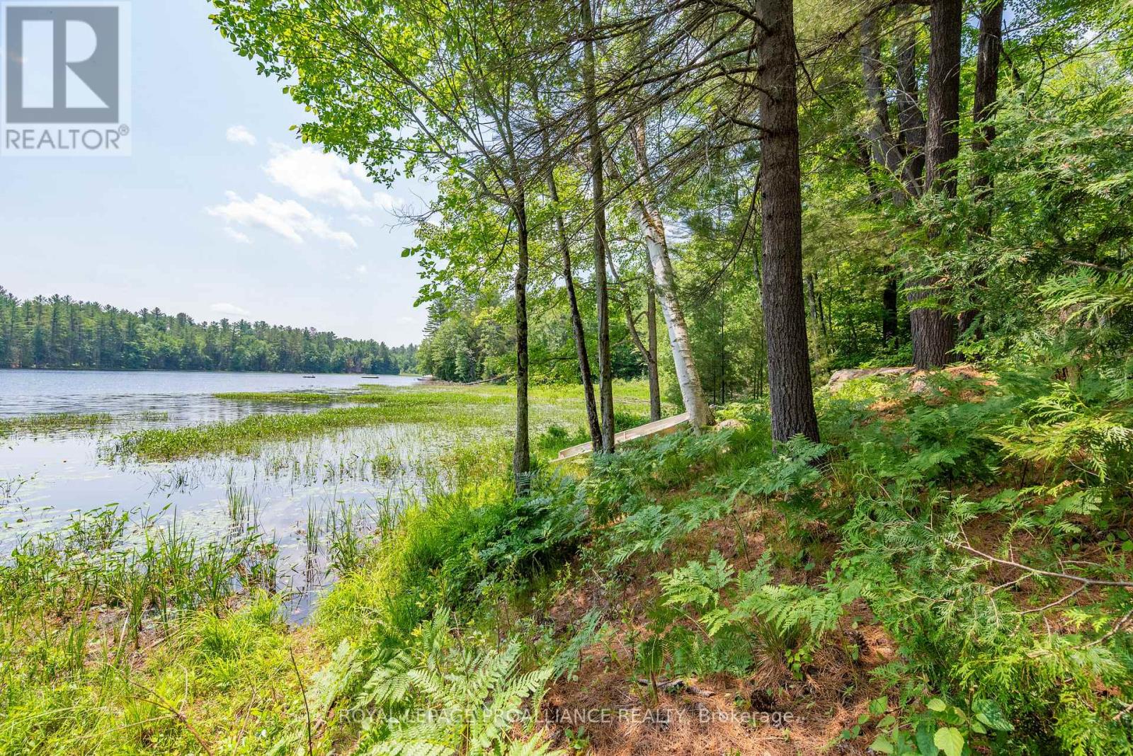 1180 Marshall Lane, North Frontenac (Frontenac North), Ontario  K0H 1K0 - Photo 12 - X12951094