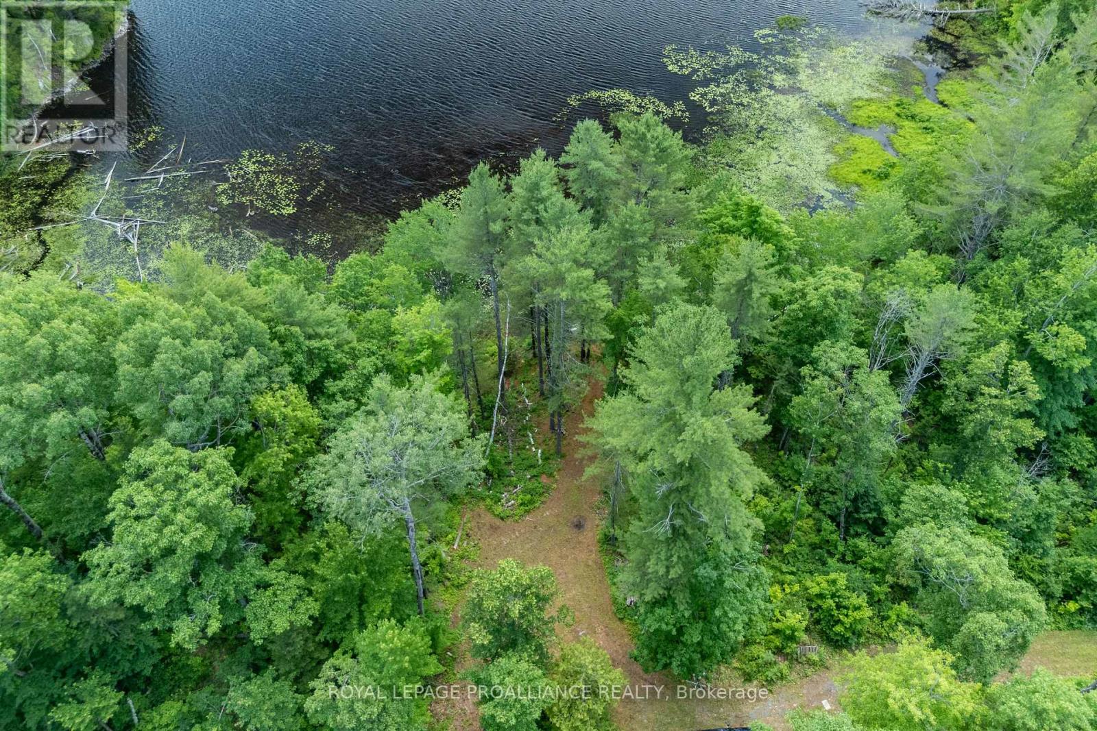 1180 Marshall Lane, North Frontenac (Frontenac North), Ontario  K0H 1K0 - Photo 17 - X12951094