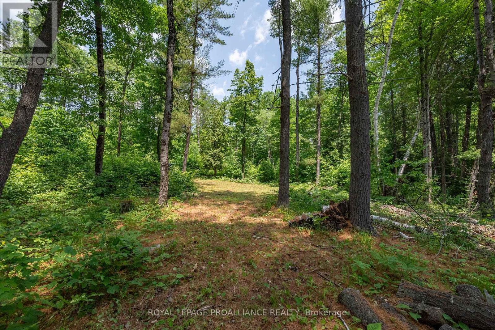 1180 Marshall Lane, North Frontenac (Frontenac North), Ontario  K0H 1K0 - Photo 3 - X12951094