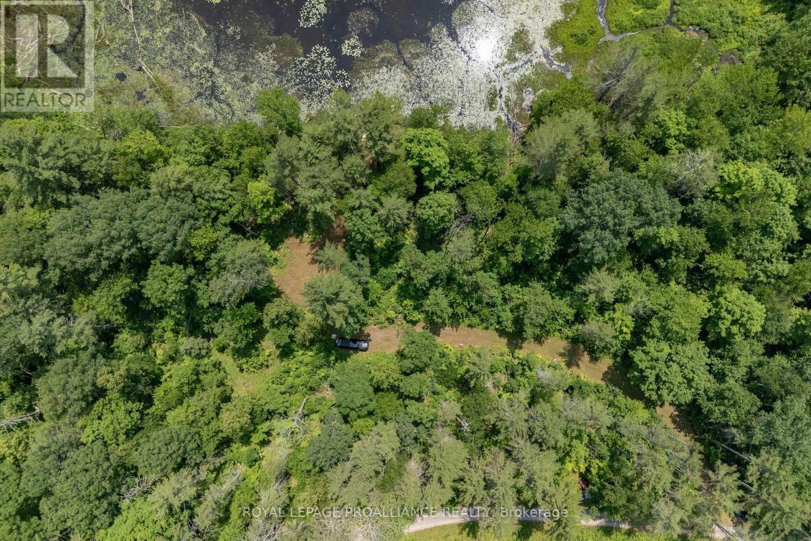 1180 Marshall Lane, North Frontenac (Frontenac North), Ontario  K0H 1K0 - Photo 16 - X12951094