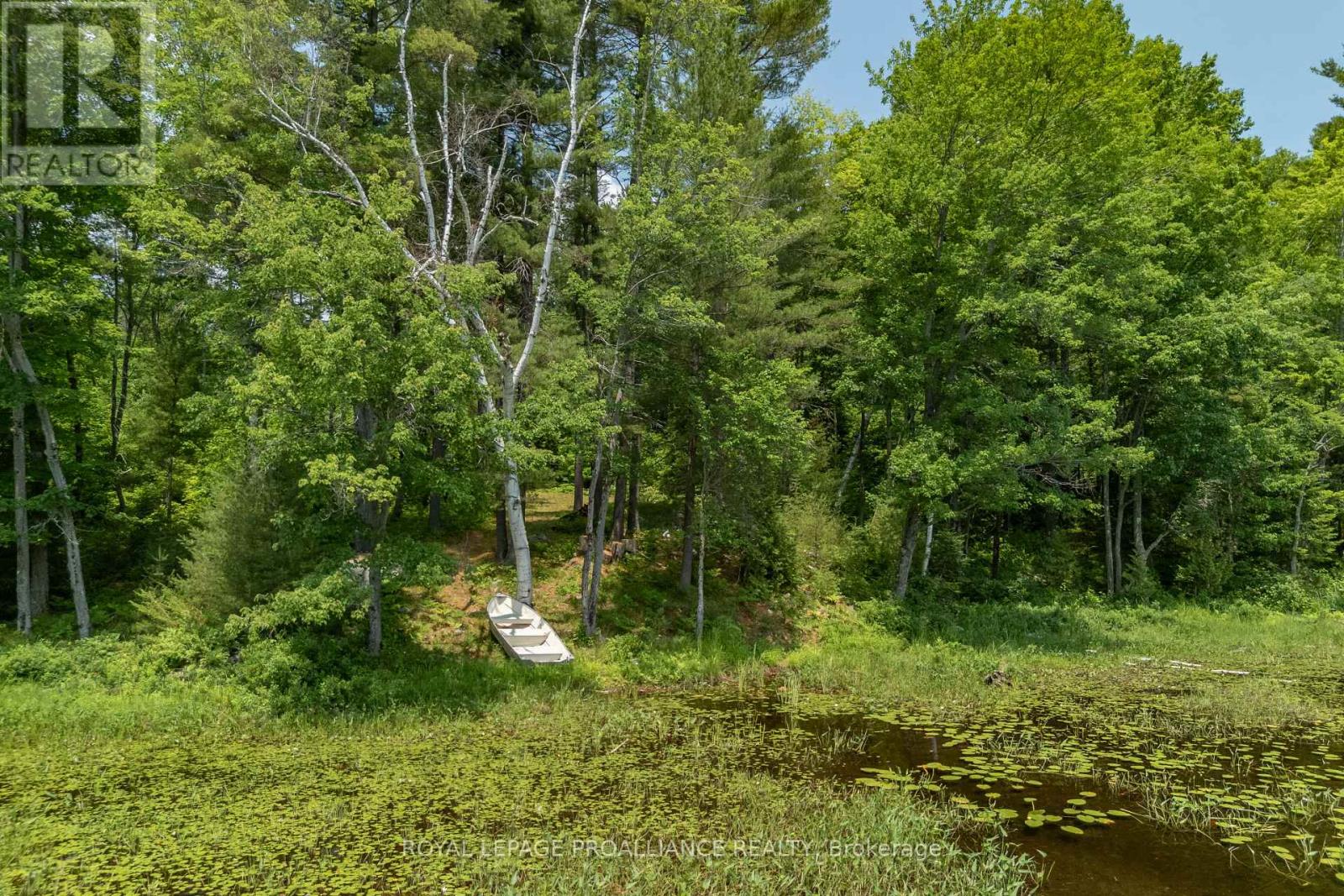 1180 Marshall Lane, North Frontenac (Frontenac North), Ontario  K0H 1K0 - Photo 19 - X12951094