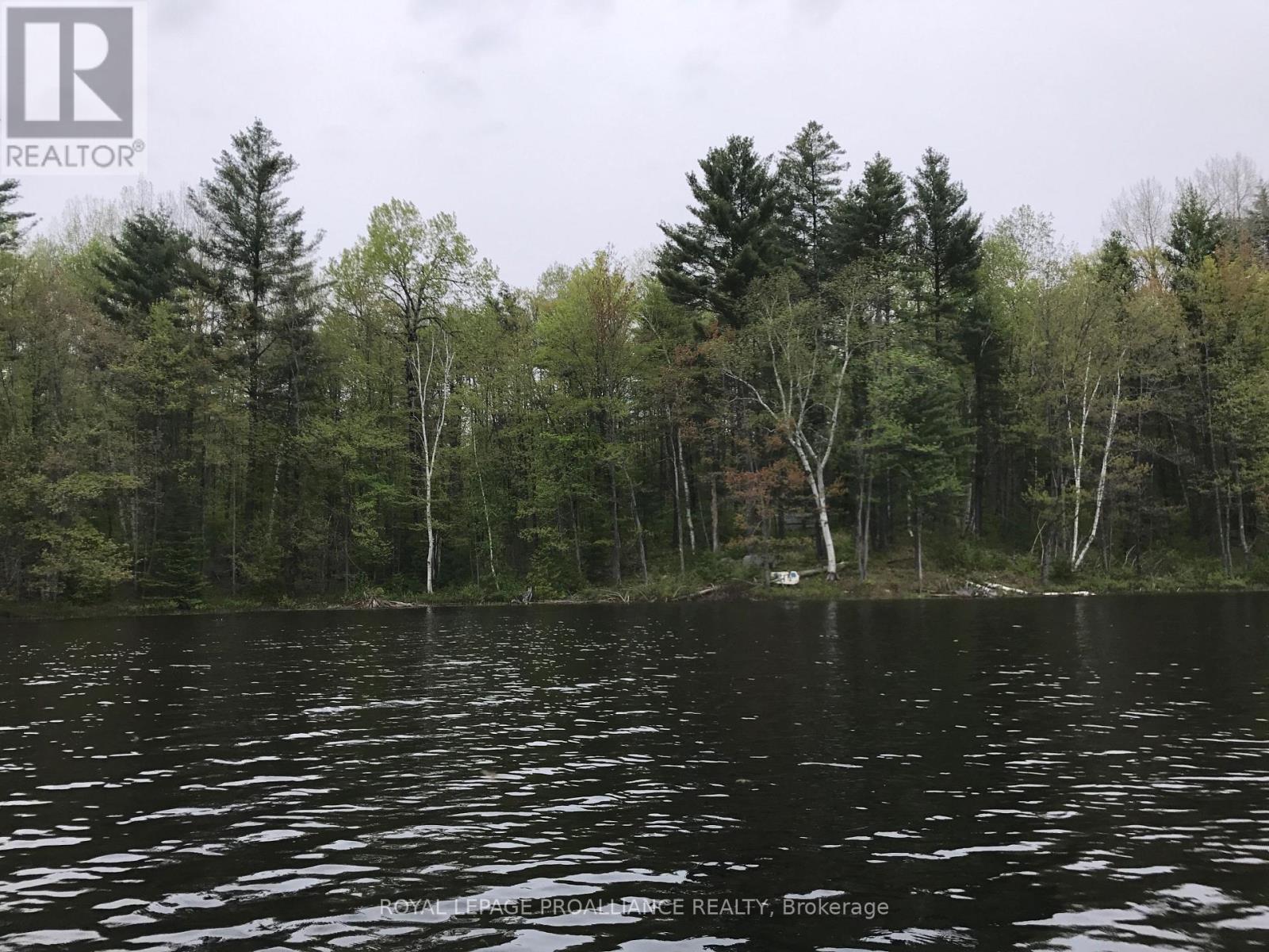 1180 Marshall Lane, North Frontenac (Frontenac North), Ontario  K0H 1K0 - Photo 9 - X12951094