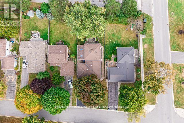 163 Birchlawn Road, Caledon, Ontario  L7E 3W3 - Photo 3 - W12599722