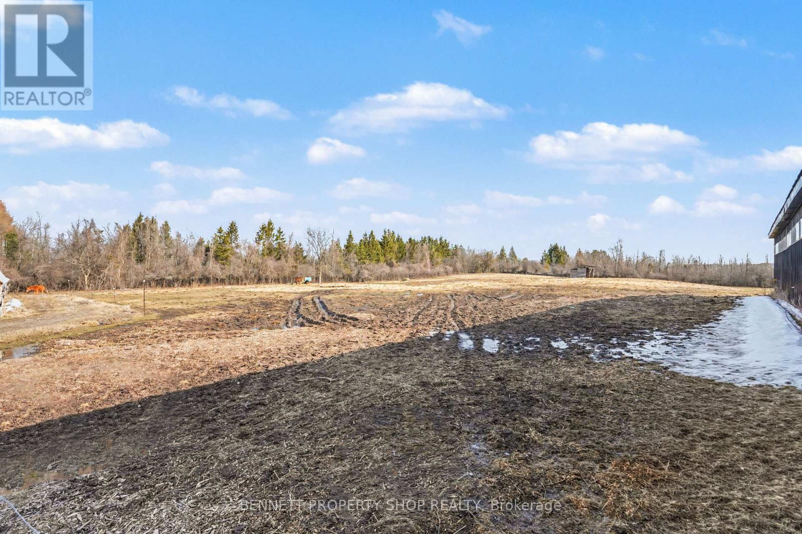 7261 Third Line Road S, Ottawa, Ontario  K0A 2E0 - Photo 28 - X12951498