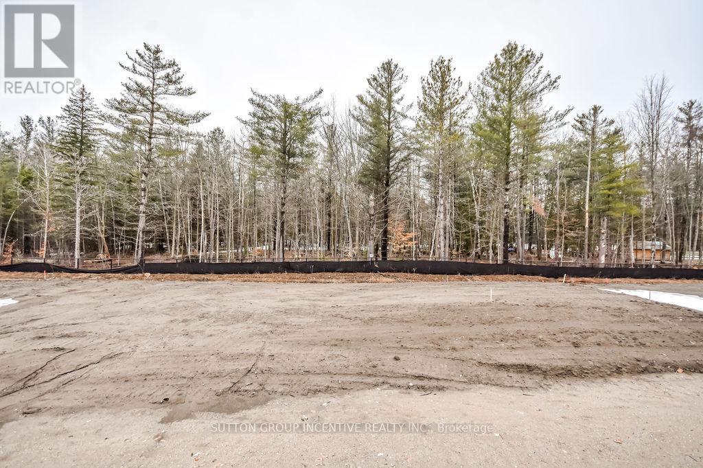 10 Cottonwood Street, Springwater, Ontario  L0L 1Y2 - Photo 24 - S12951736