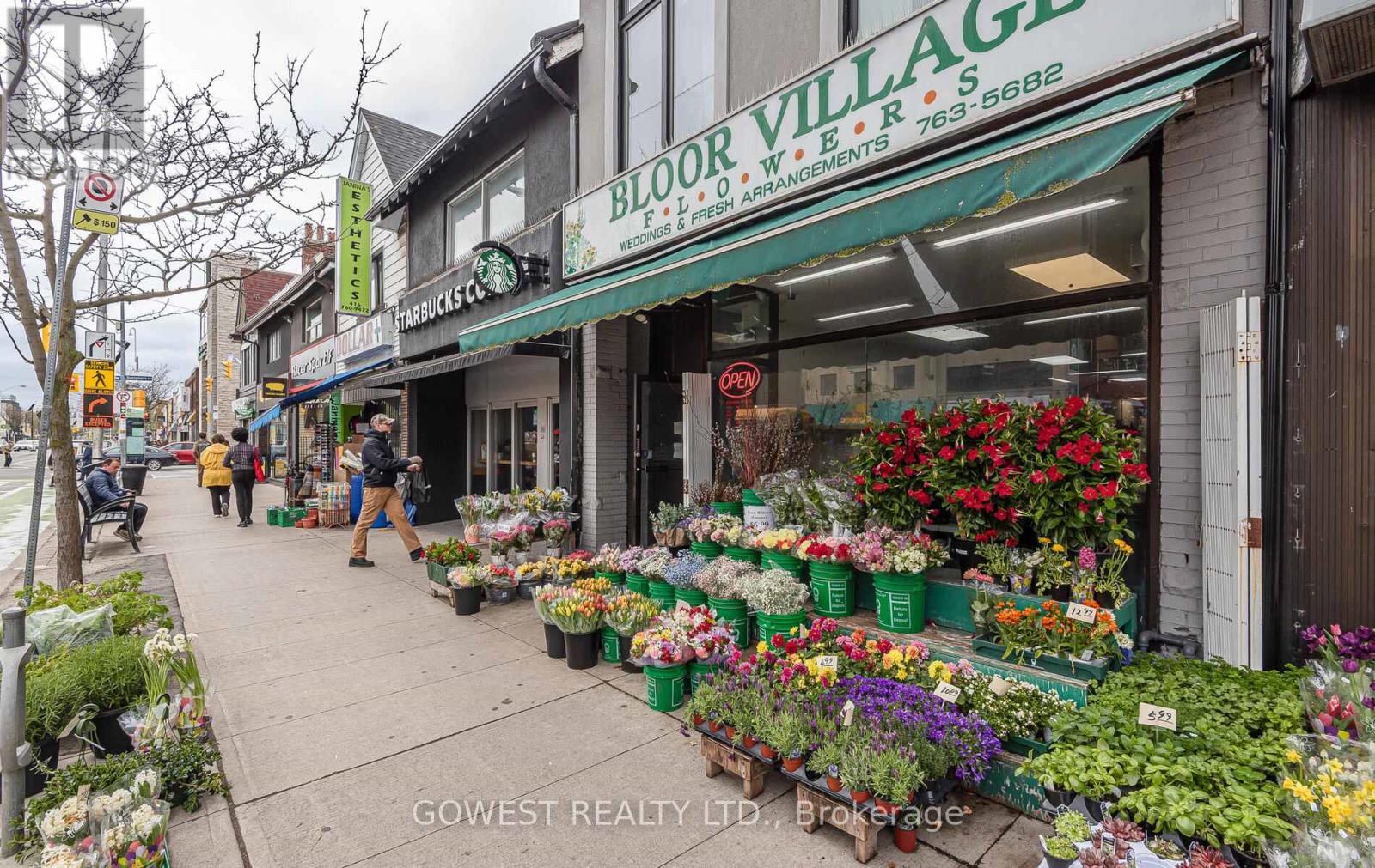 2 - 312 Quebec Avenue, Toronto, Ontario  M6P 2V3 - Photo 36 - W12951728
