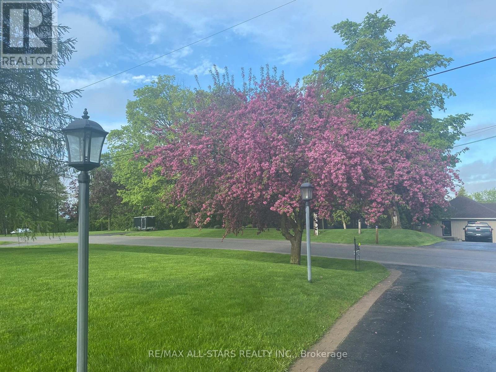 242 Stephenson Point Road, Scugog, Ontario  L9L 1B4 - Photo 5 - E12951776