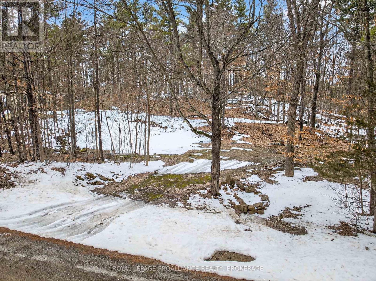 Pt Lt 18 Clear Lake Road, Rideau Lakes, Ontario  K0G 1E0 - Photo 1 - X12951860