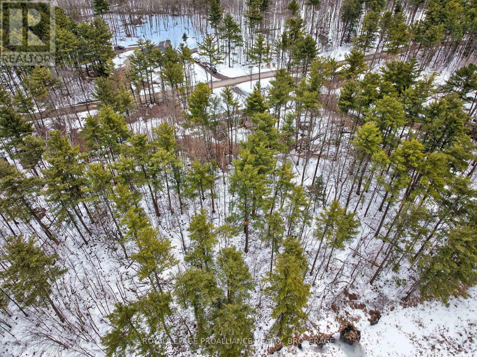 Pt Lt 18 Clear Lake Road, Rideau Lakes, Ontario  K0G 1E0 - Photo 17 - X12951860