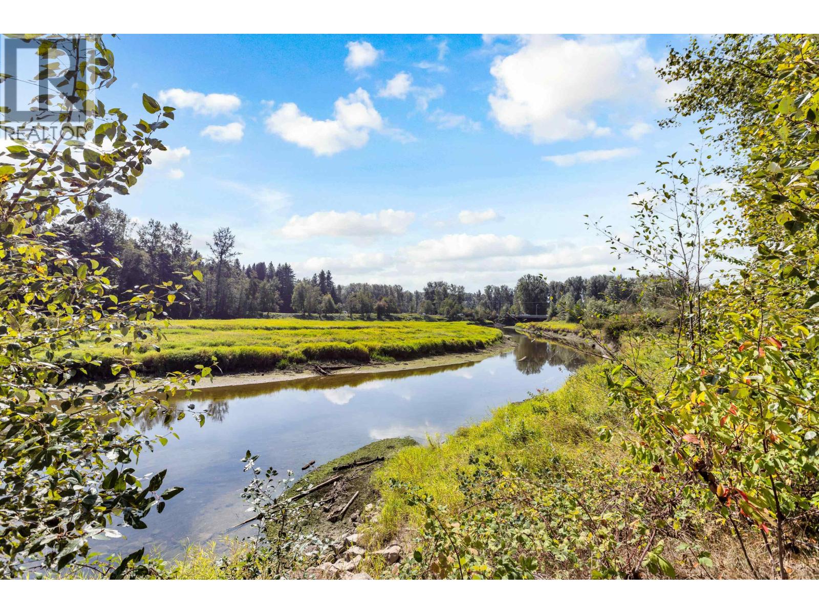 10 23281 Kanaka Way, Maple Ridge, British Columbia  V2W 1Z2 - Photo 35 - R3106399