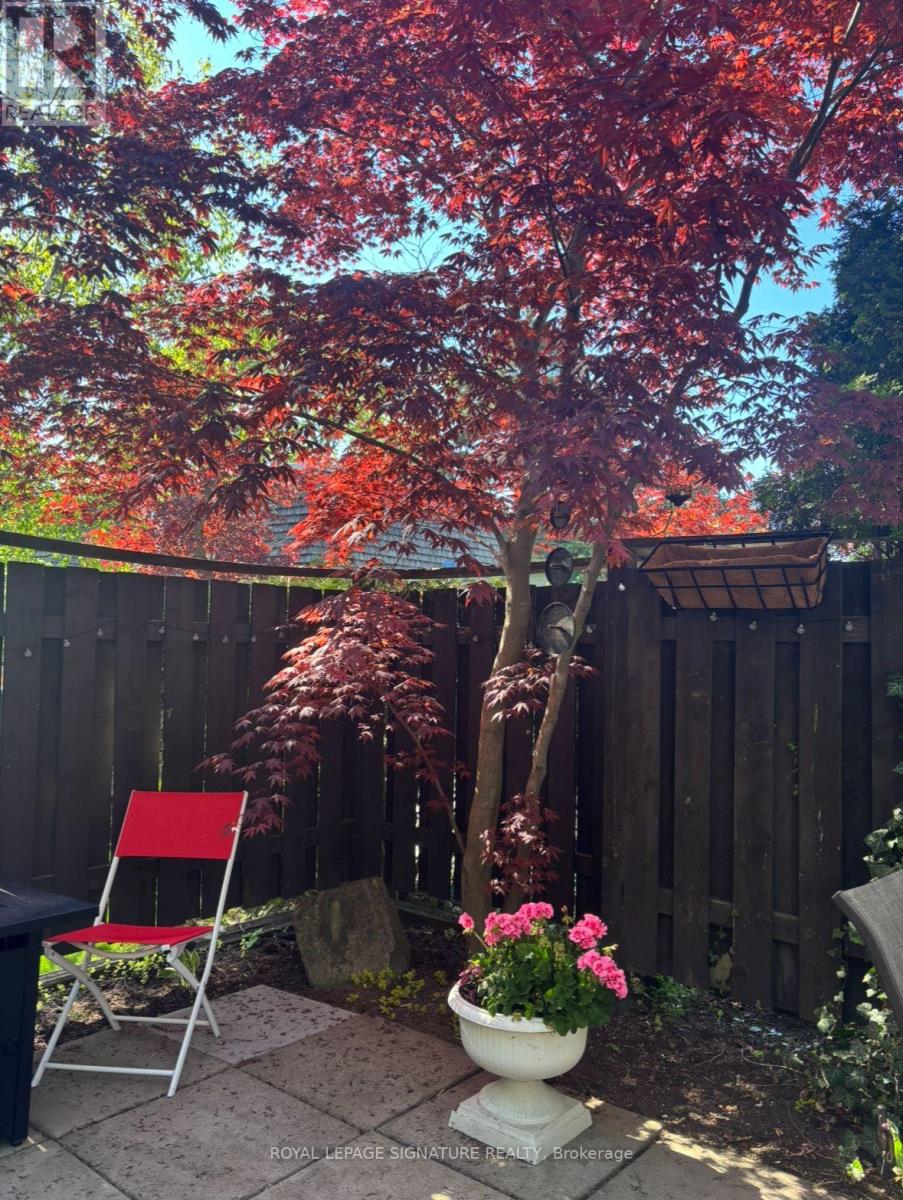 34 Sugar Millway, Toronto, Ontario  M2L 1R6 - Photo 33 - C12951774