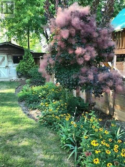 8 Glenvale Boulevard, Toronto, Ontario  M4G 2V1 - Photo 45 - C12951908