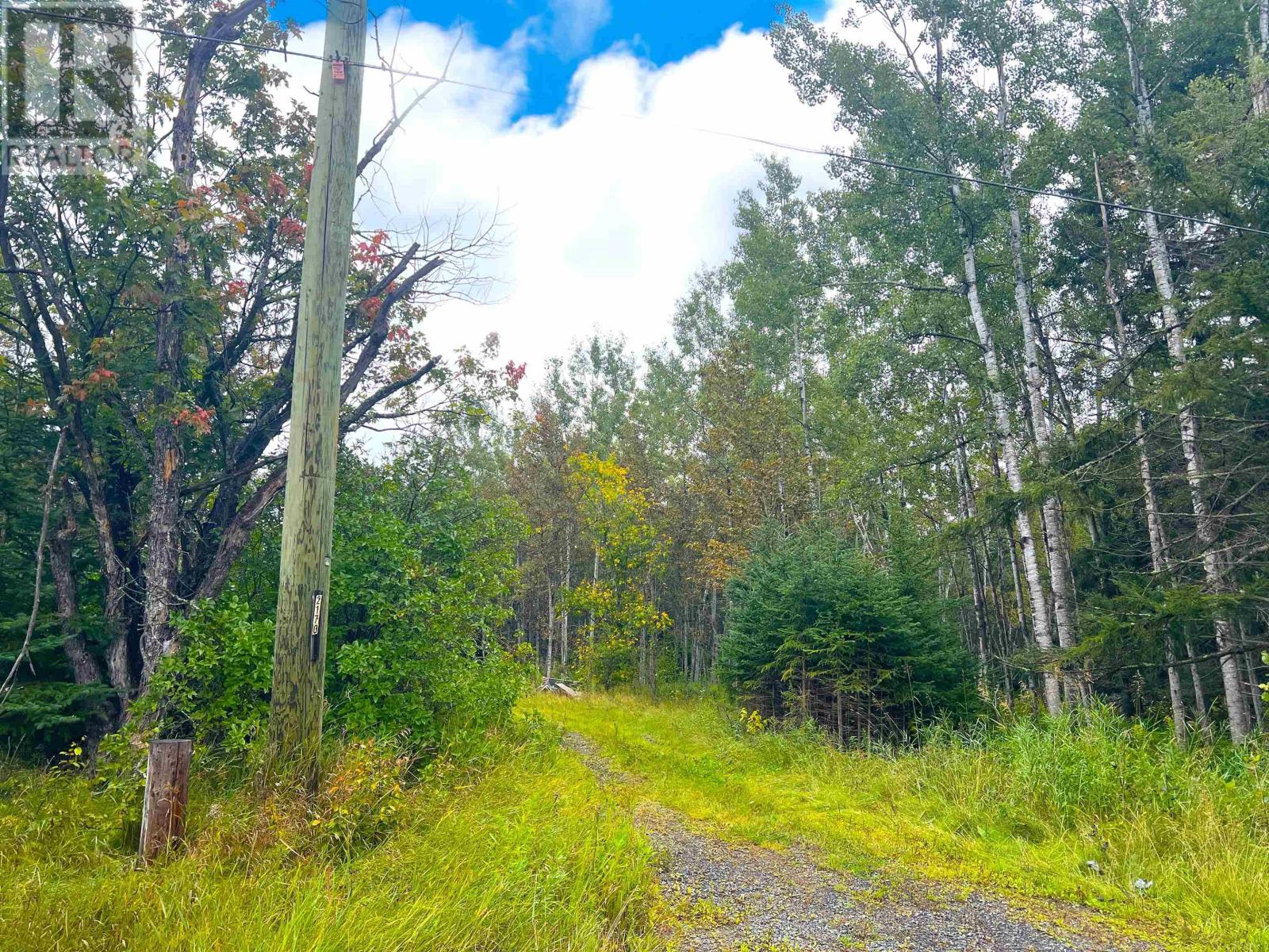 2170 Lynda Ave, Thunder Bay, Ontario  P7K 1H9 - Photo 5 - TB252824