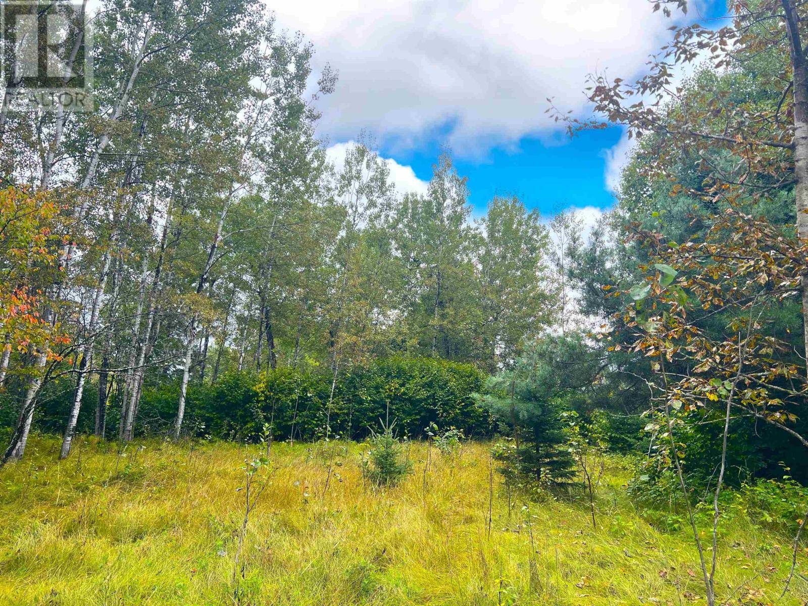 2170 Lynda Ave, Thunder Bay, Ontario  P7K 1H9 - Photo 11 - TB252824