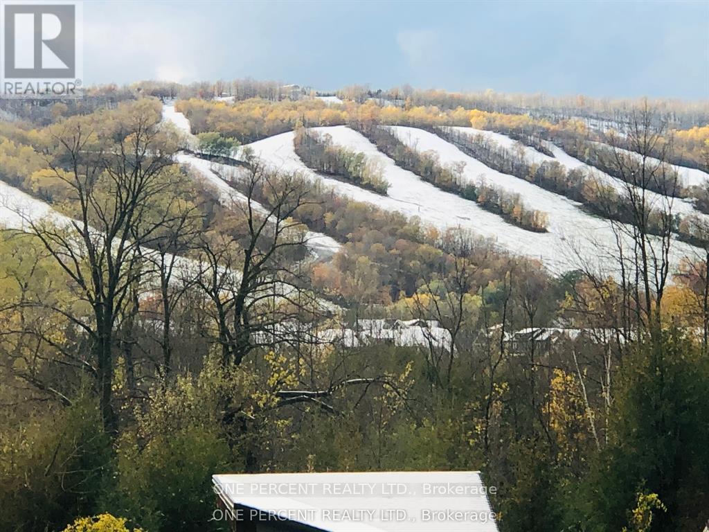 302 - 12 Beckwith Lane, Blue Mountains, Ontario  L9Y 0A4 - Photo 19 - X12951836
