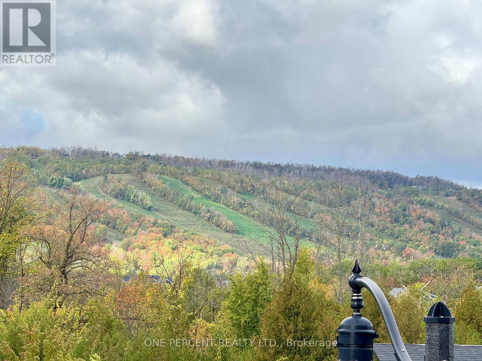 302 - 12 Beckwith Lane, Blue Mountains, Ontario  L9Y 0A4 - Photo 7 - X12951836