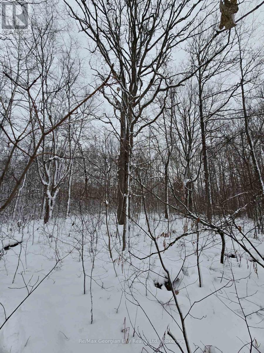 1666 Balkwill Line, Severn, Ontario  L0K 1E0 - Photo 33 - S12952066