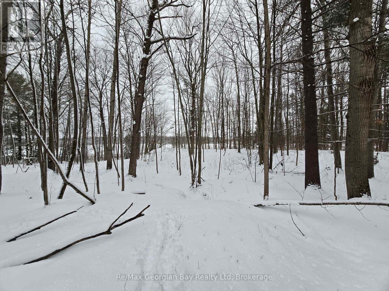 1666 Balkwill Line, Severn, Ontario  L0K 1E0 - Photo 35 - S12952066