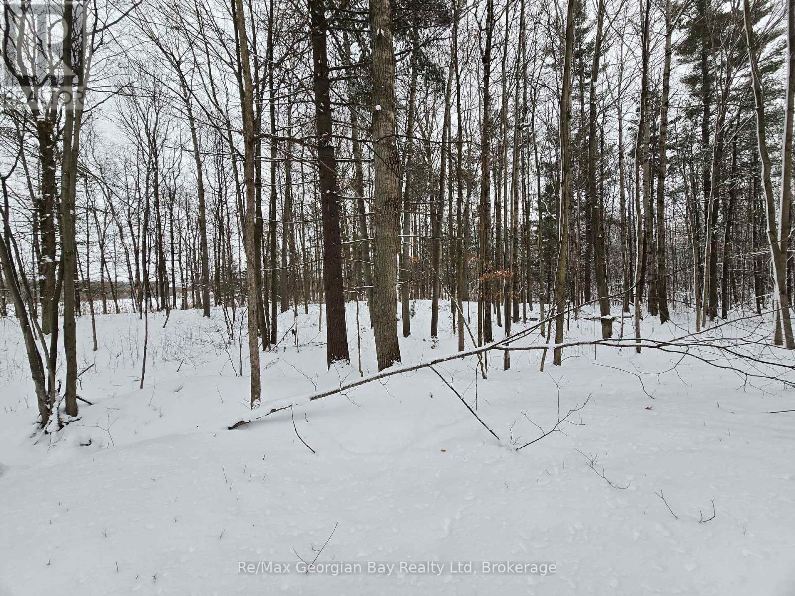 1666 Balkwill Line, Severn, Ontario  L0K 1E0 - Photo 36 - S12952066