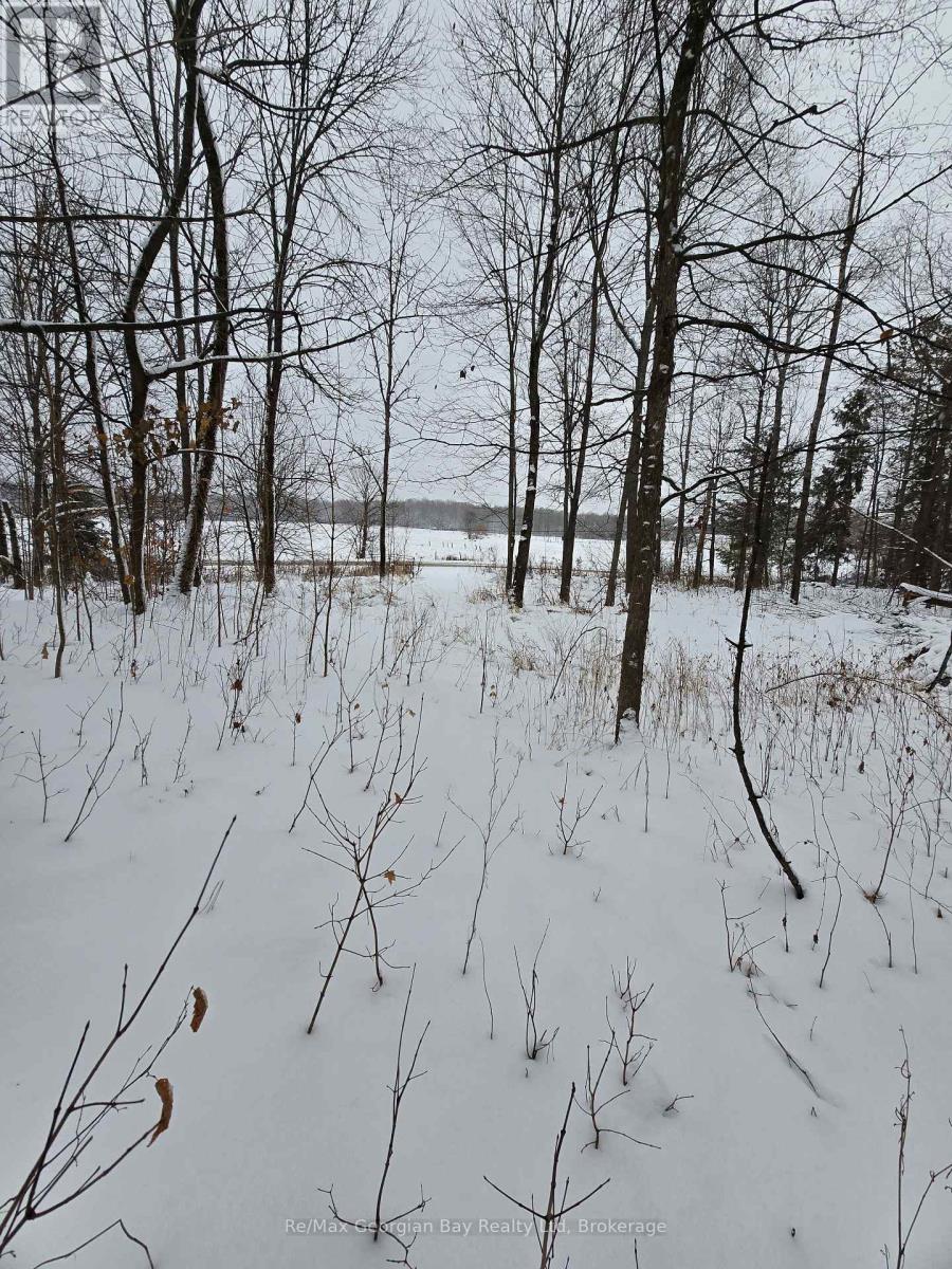 1666 Balkwill Line, Severn, Ontario  L0K 1E0 - Photo 38 - S12952066