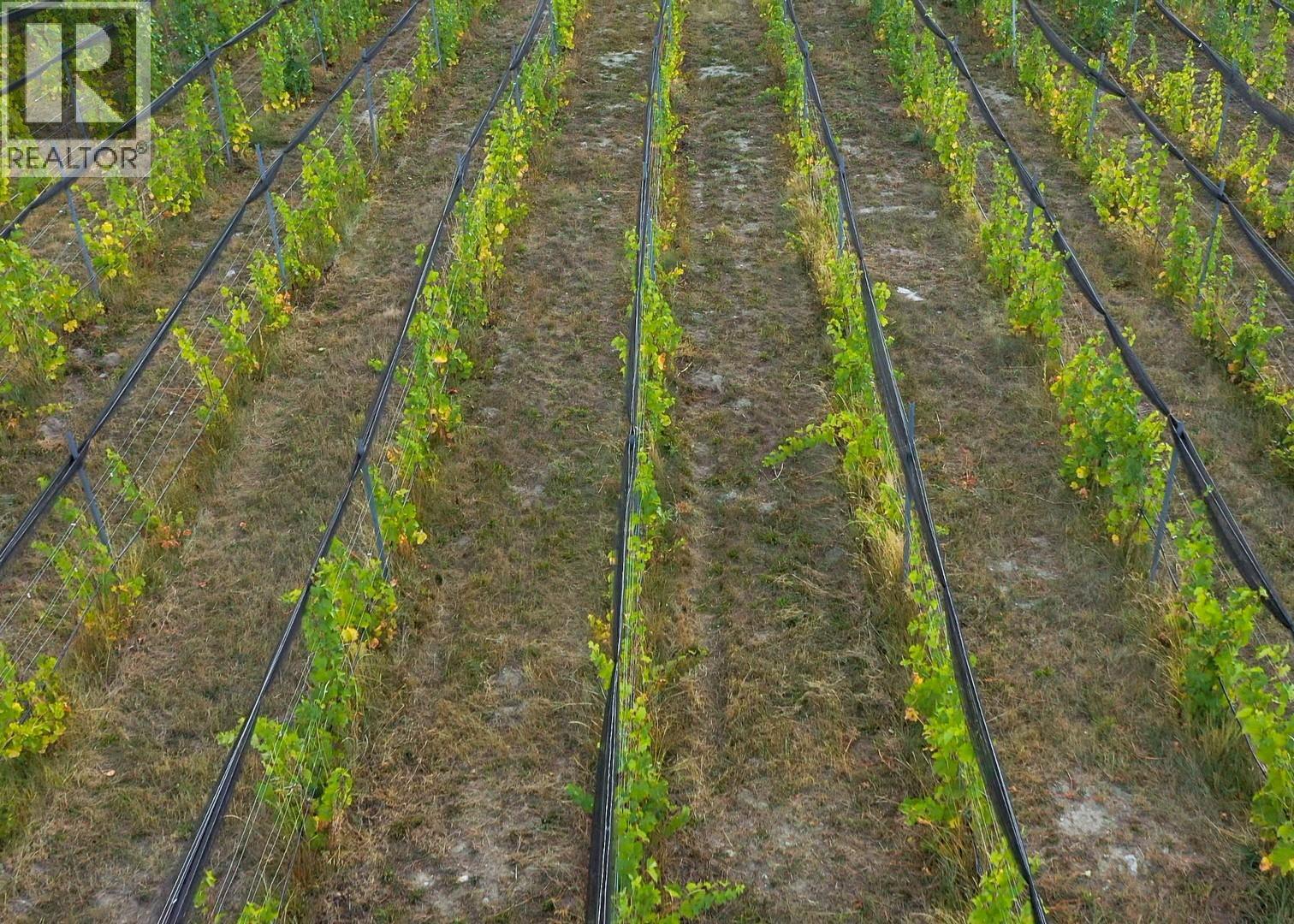 4112 McLean Creek Road Okanagan Falls Photo 5