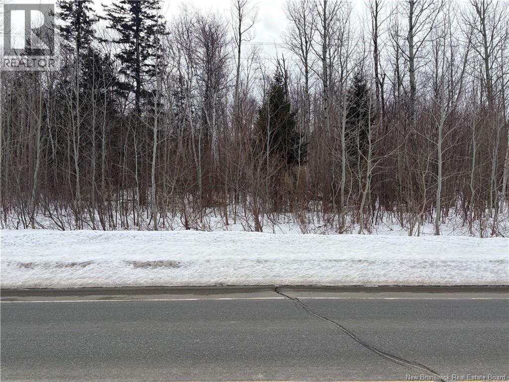 255 Route 134, Dalhousie Junction, New Brunswick  E3N 5Z9 - Photo 9 - NB136200