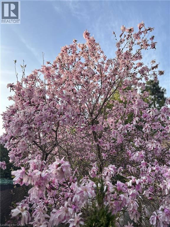 24 Central Park Avenue, Dundas, Ontario  L9H 2M7 - Photo 33 - 40816983