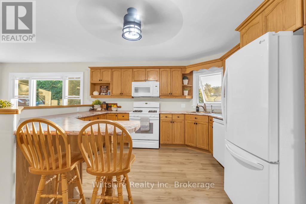 436 Broadway Street, Tillsonburg, Ontario  N4G 3S7 - Photo 13 - X12952284