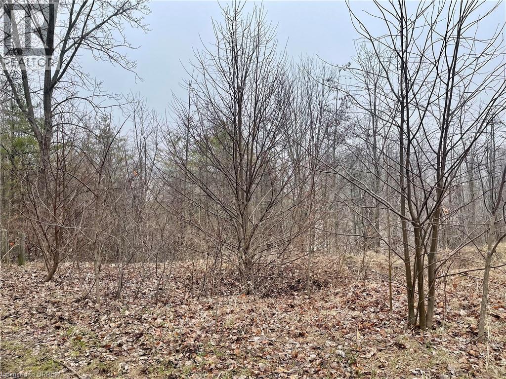 000 Maple Grove Road, Scotland, Ontario  N0E 1R0 - Photo 2 - 40815564