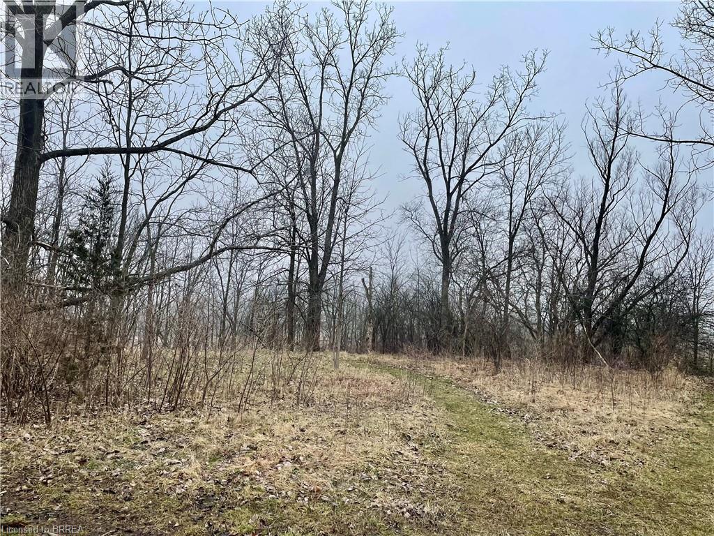 000 Maple Grove Road, Scotland, Ontario  N0E 1R0 - Photo 3 - 40815564