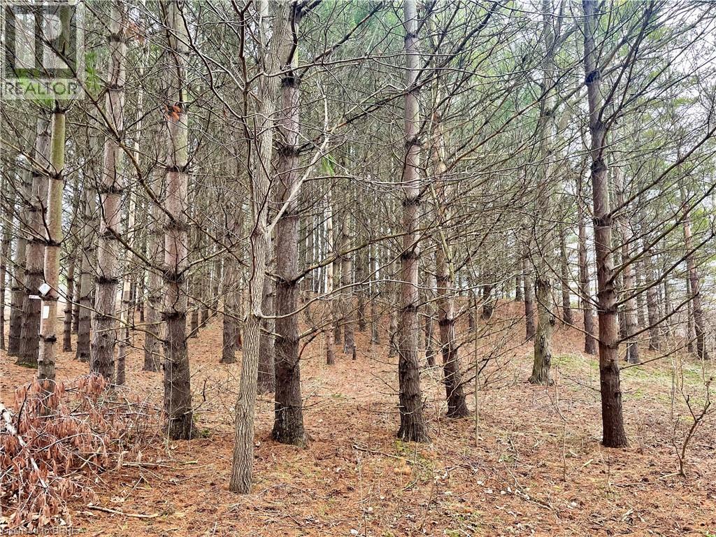 000 Maple Grove Road, Scotland, Ontario  N0E 1R0 - Photo 1 - 40815564