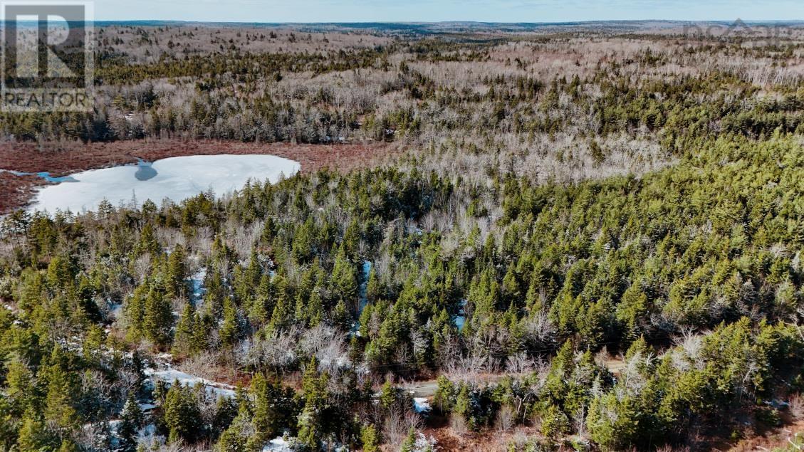 Lot 3 Hamilton Road, Pleasant Valley, Nova Scotia  B5A 5P1 - Photo 7 - 202604740