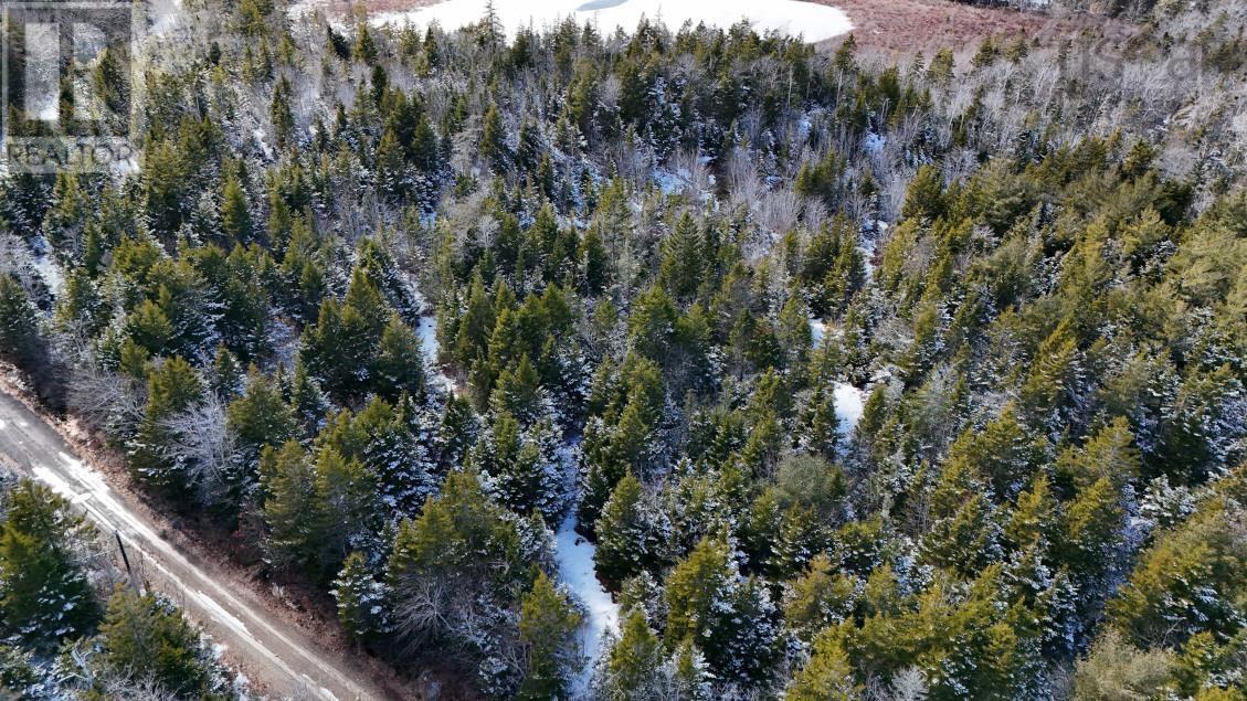 Lot 3 Hamilton Road, Pleasant Valley, Nova Scotia  B5A 5P1 - Photo 3 - 202604740