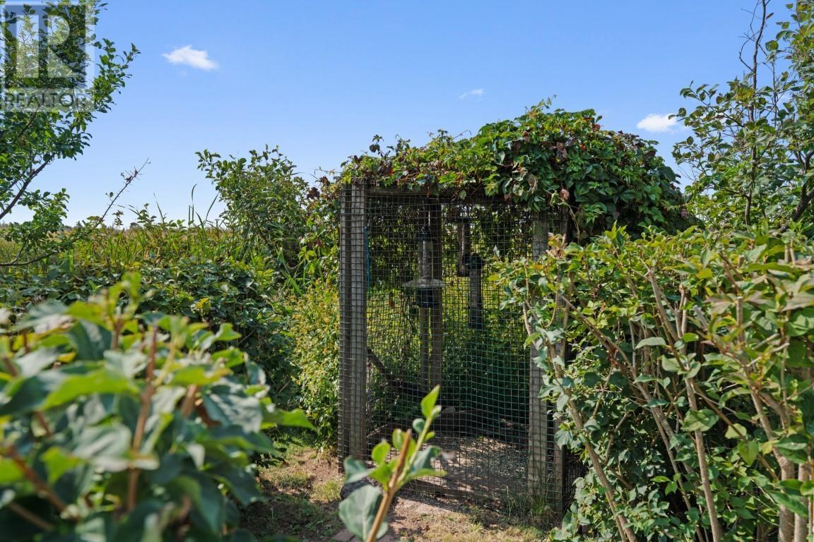 7373 Route 11, Cap Egmont, Prince Edward Island  C0B 2E0 - Photo 36 - 202606256