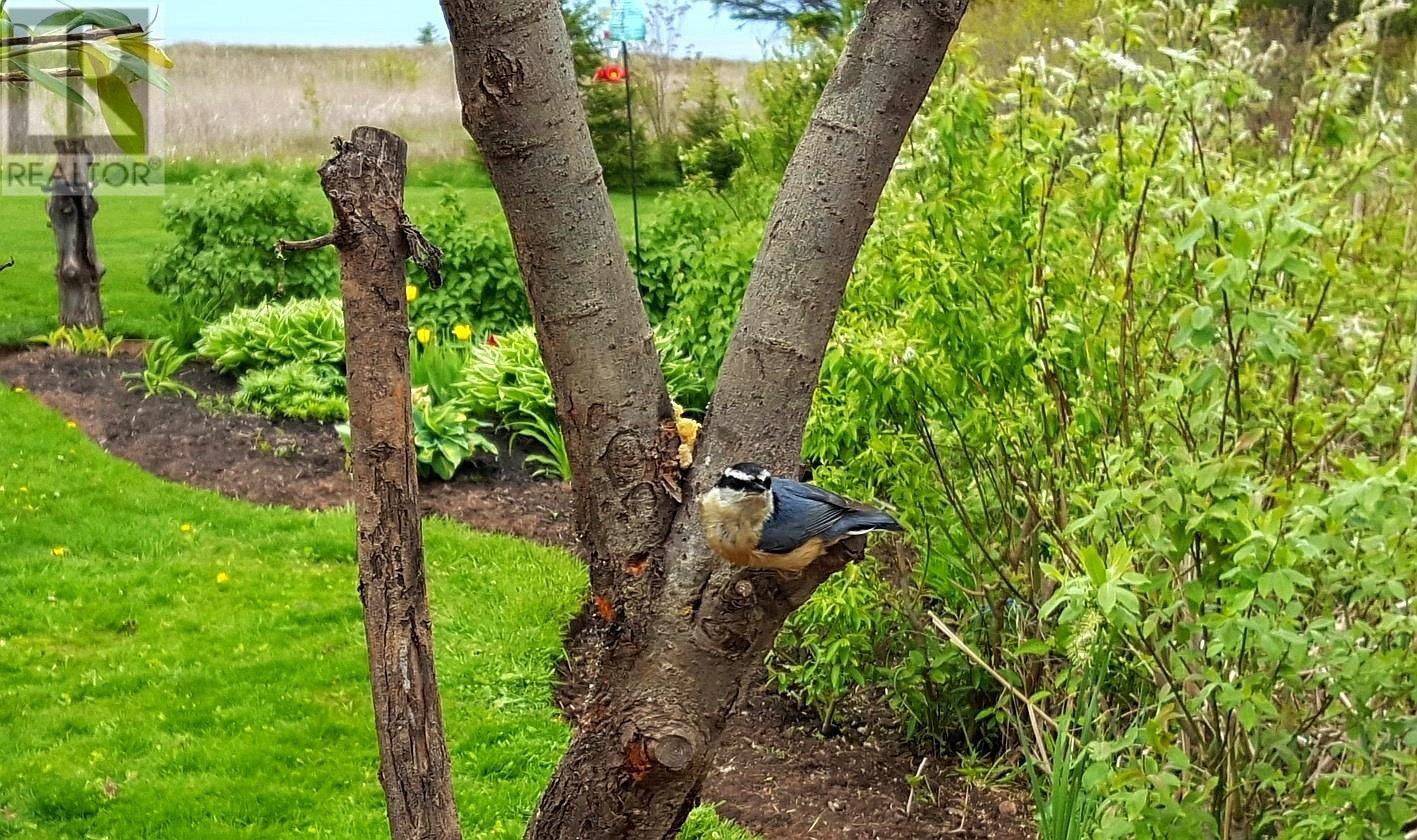 7373 Route 11, Cap Egmont, Prince Edward Island  C0B 2E0 - Photo 39 - 202606256