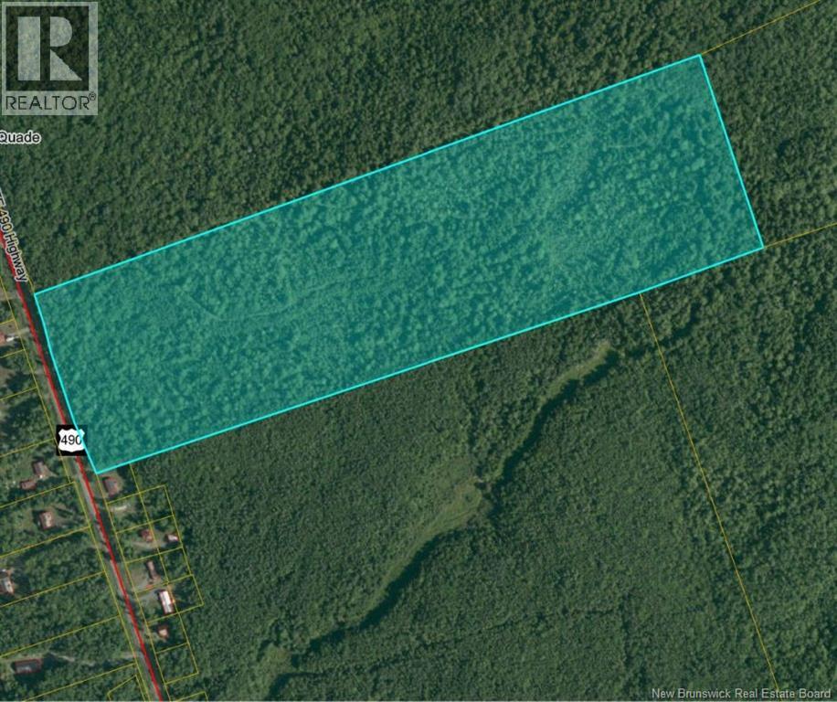 . Woodlot Rte 490 Mcquade Route, Mcquade, New Brunswick  E1G 3J4 - Photo 1 - NB136418