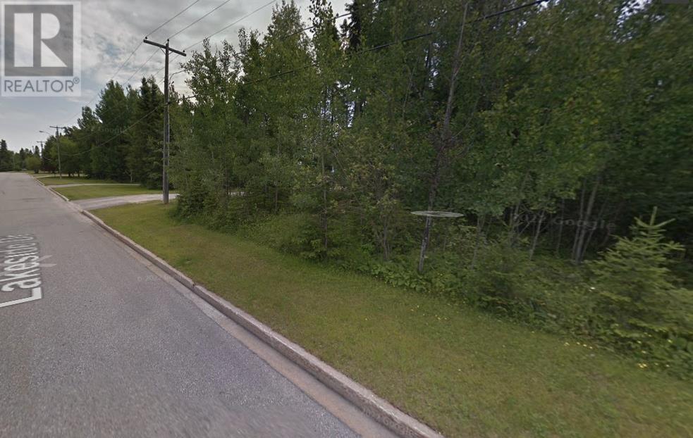 124 Lakeside Dr, Dryden, Ontario  P8N 3H4 - Photo 2 - TB250667