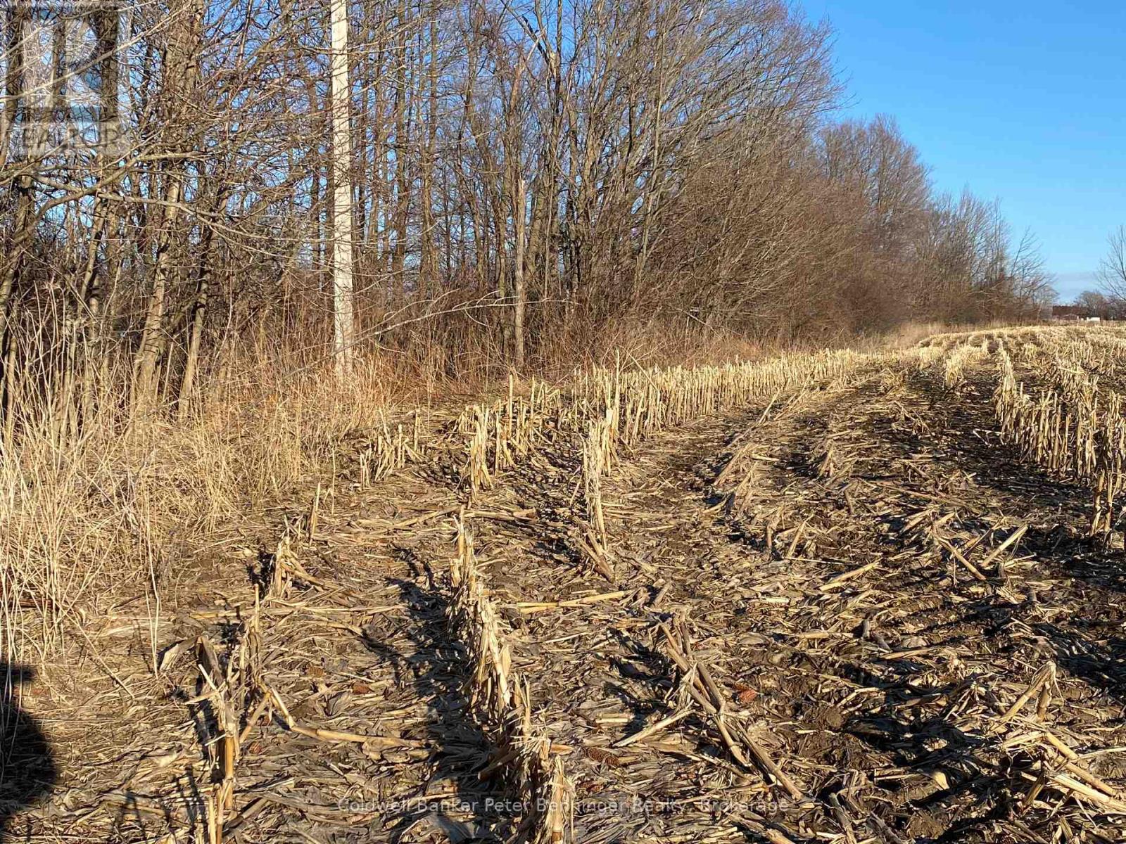 3128 Bruce Road 15 Road, Kincardine, Ontario  N0G 2T0 - Photo 40 - X12952750