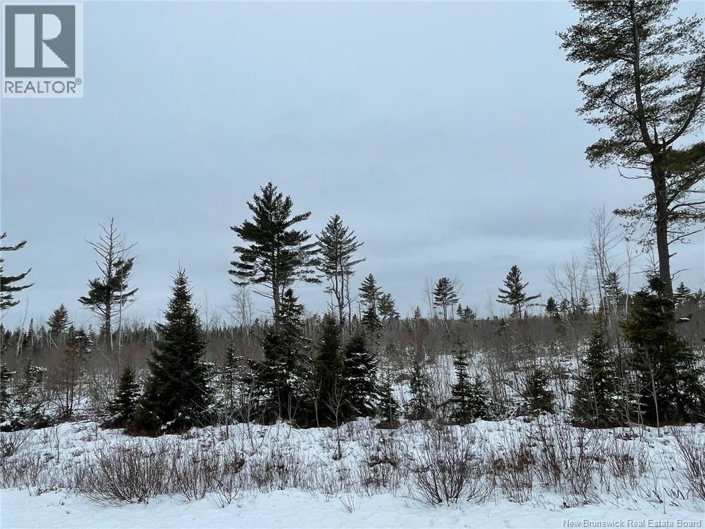 Oldfield Road, Bartibog, New Brunswick E1V 6L4 - Photo 14 - NB136276