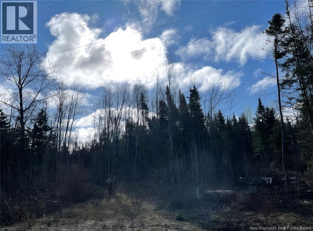 Oldfield Road, Bartibog, New Brunswick E1V 6L4 - Photo 17 - NB136276