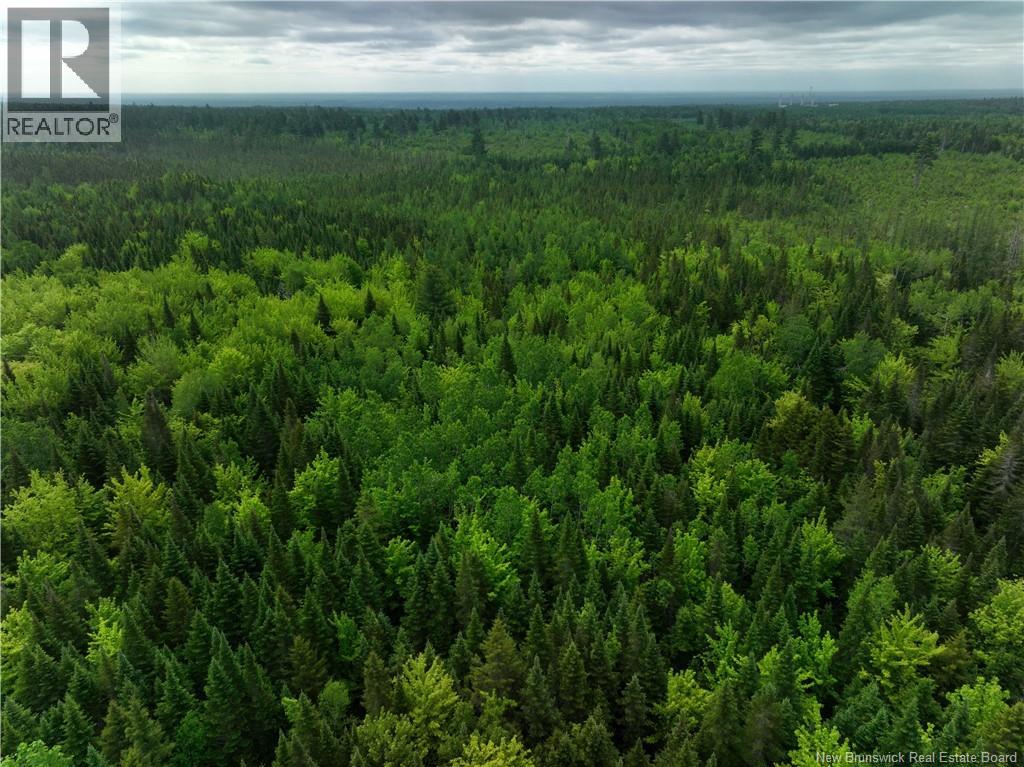 Oldfield Road, Bartibog, New Brunswick E1V 6L4 - Photo 5 - NB136276