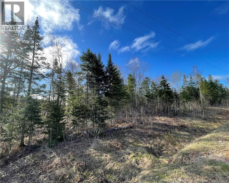 Oldfield Road, Bartibog, New Brunswick E1V 6L4 - Photo 7 - NB136276
