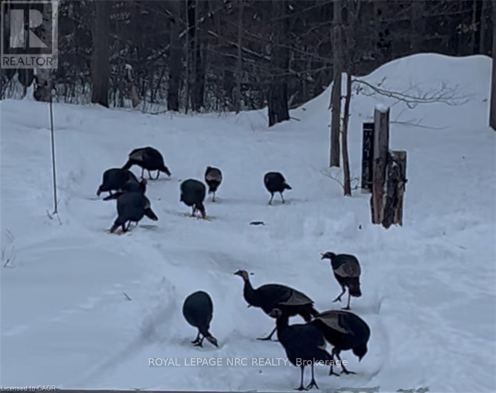 352 Moulton-Aiken Road, Haldimand, Ontario  N1A 2W5 - Photo 48 - X12952520