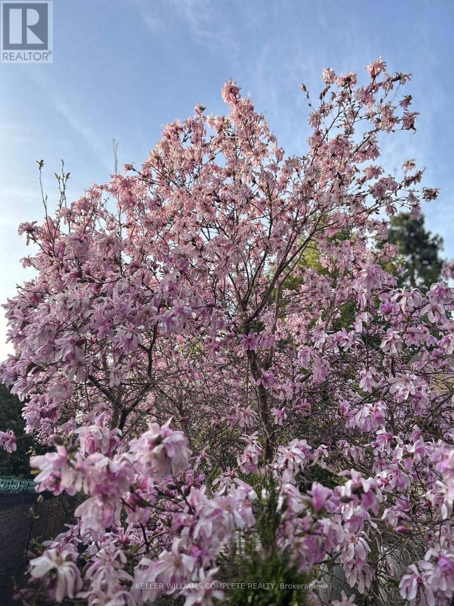 24 Central Park Avenue, Hamilton, Ontario  L9H 2M7 - Photo 33 - X12952588