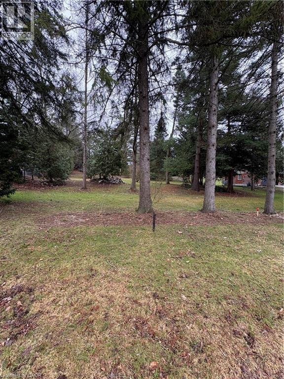 154 Mccall Crescent, Simcoe, Ontario  N3Y 2E1 - Photo 3 - 40799184