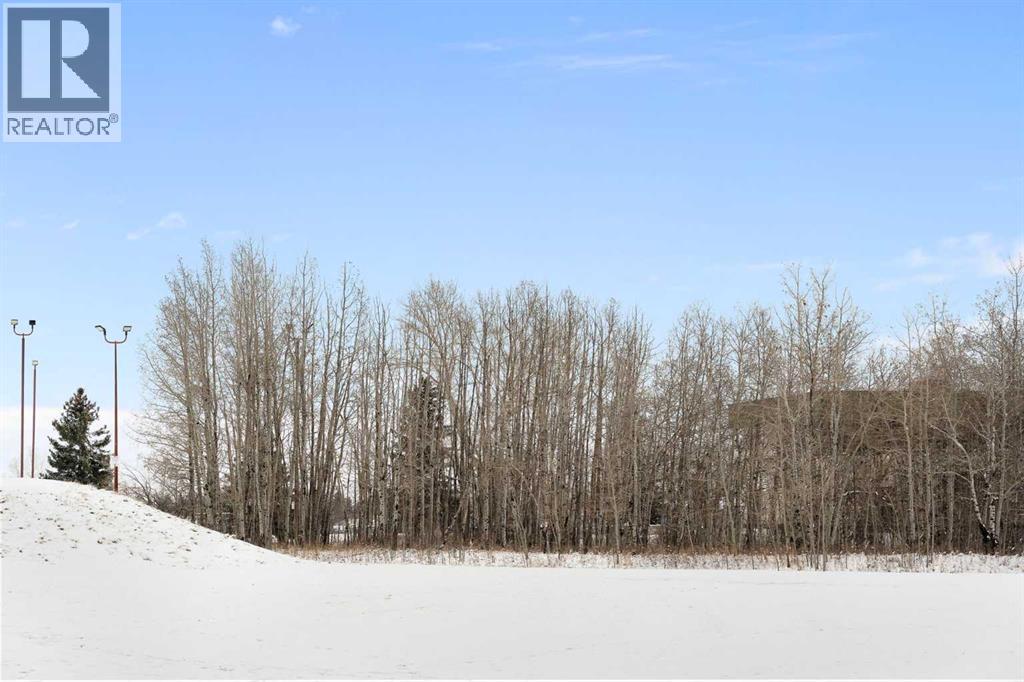 11035 Oakfield Drive SW, Calgary, Alberta  T2W 3H3 - Photo 45 - A2296863