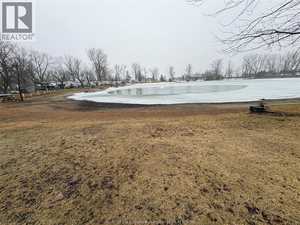 16 Mulberry Lane, Leamington, Ontario  N0P 2G0 - Photo 13 - 26007005