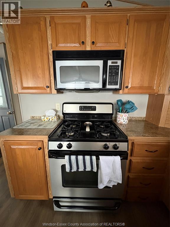 16 Mulberry Lane, Leamington, Ontario  N0P 2G0 - Photo 23 - 26007005