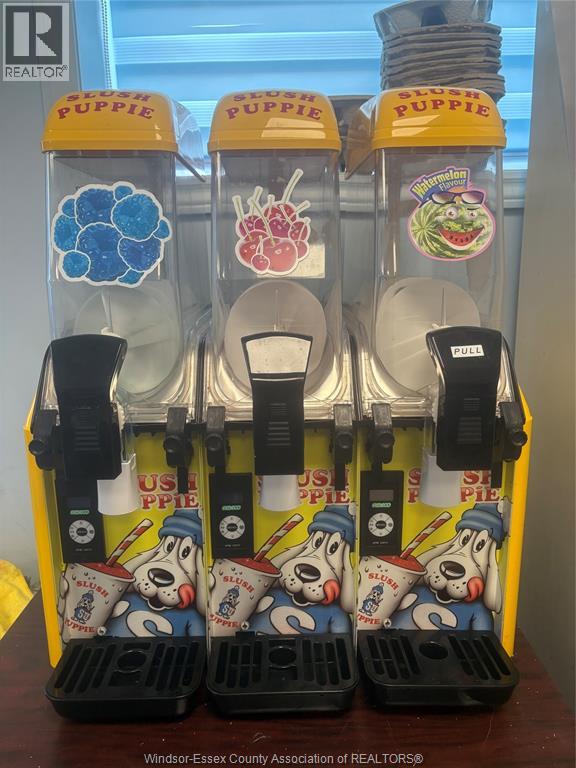 16 Mulberry Lane, Leamington, Ontario  N0P 2G0 - Photo 50 - 26007005